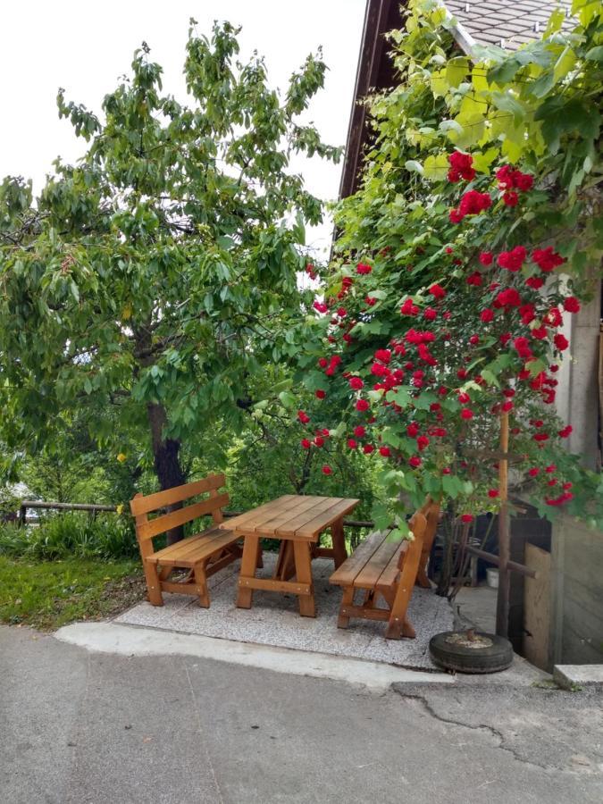 Pr' Hribar Apartment Zgornje Gorje Exterior photo