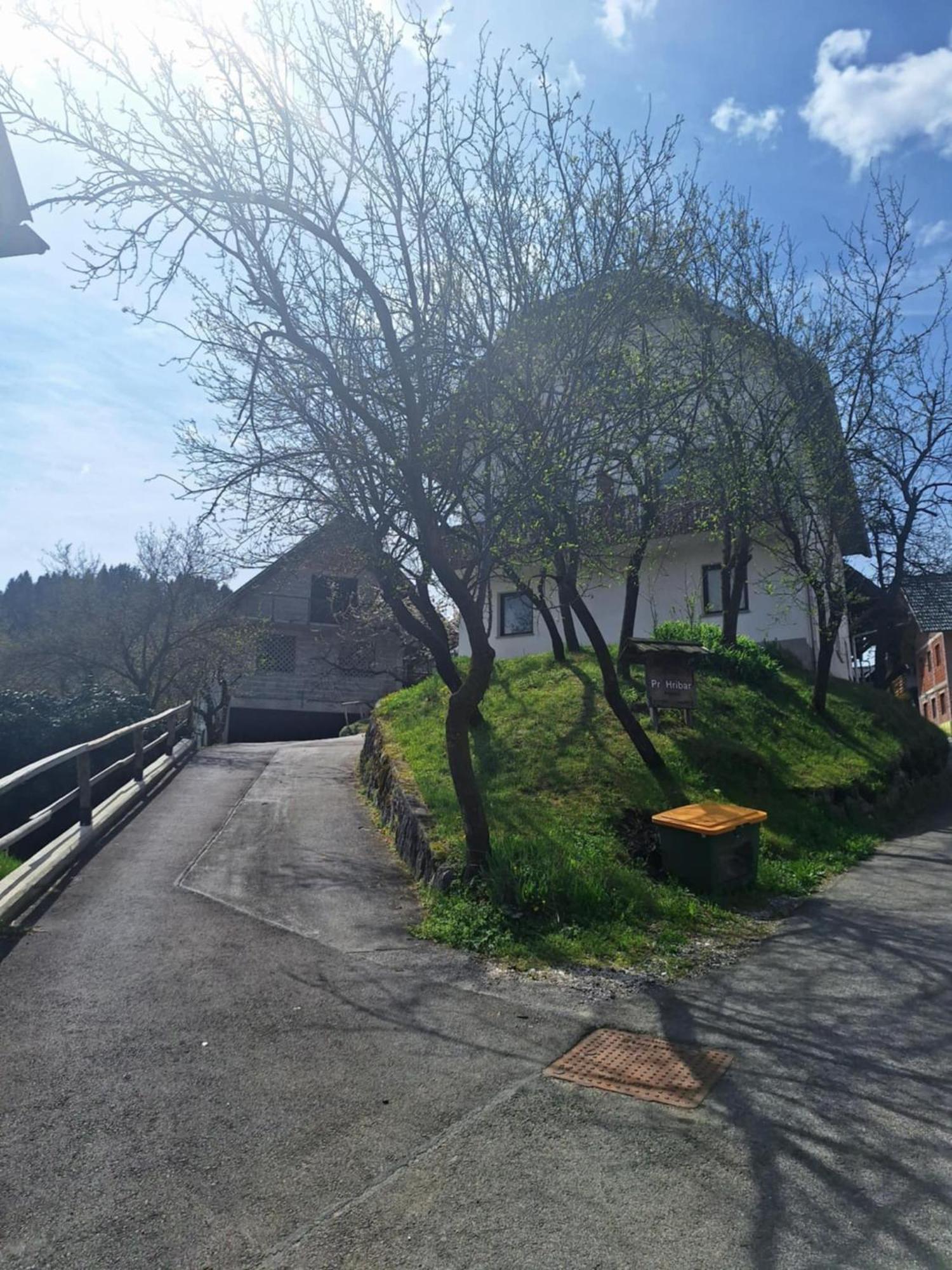 Pr' Hribar Apartment Zgornje Gorje Exterior photo
